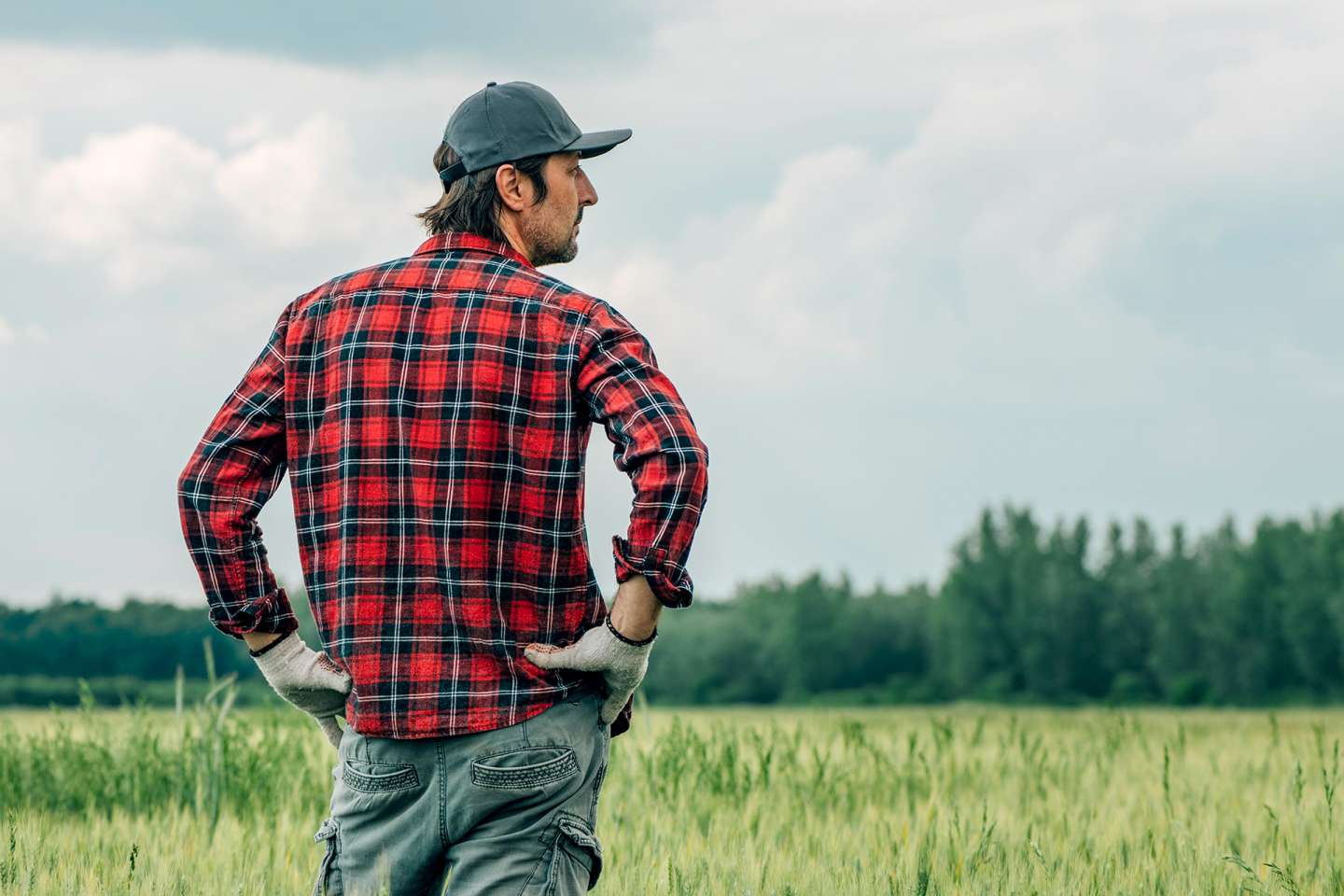 Exploitants agricoles : le dispositif des prêts de consolidation est opérationnel