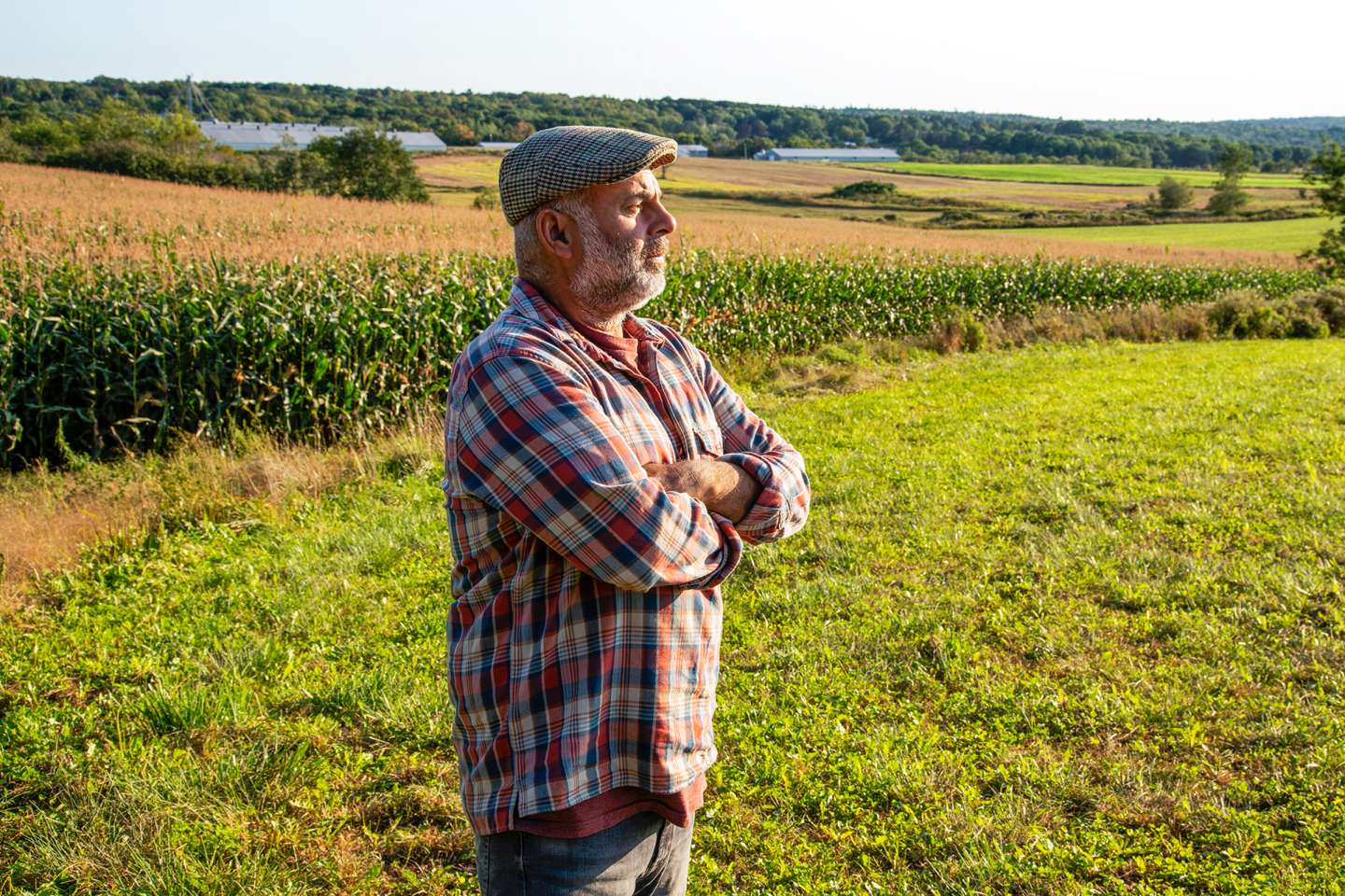 Décès d’un exploitant agricole : option pour l’assiette forfaitaire de cotisations