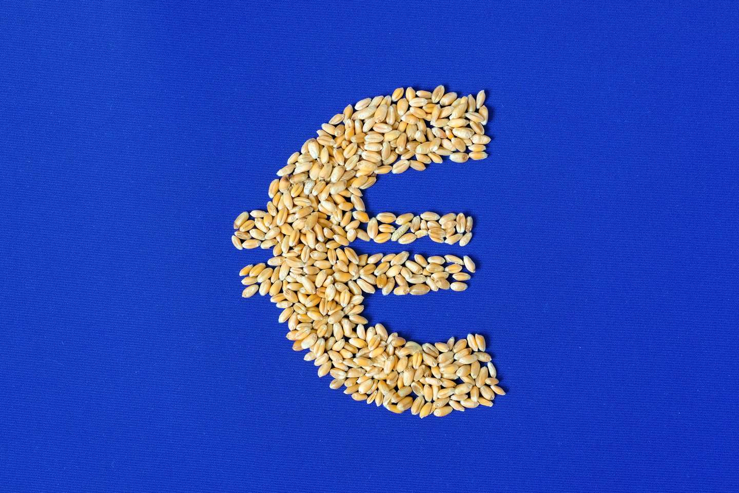 Agriculture : augmentation de plusieurs aides de la Pac au titre de 2024