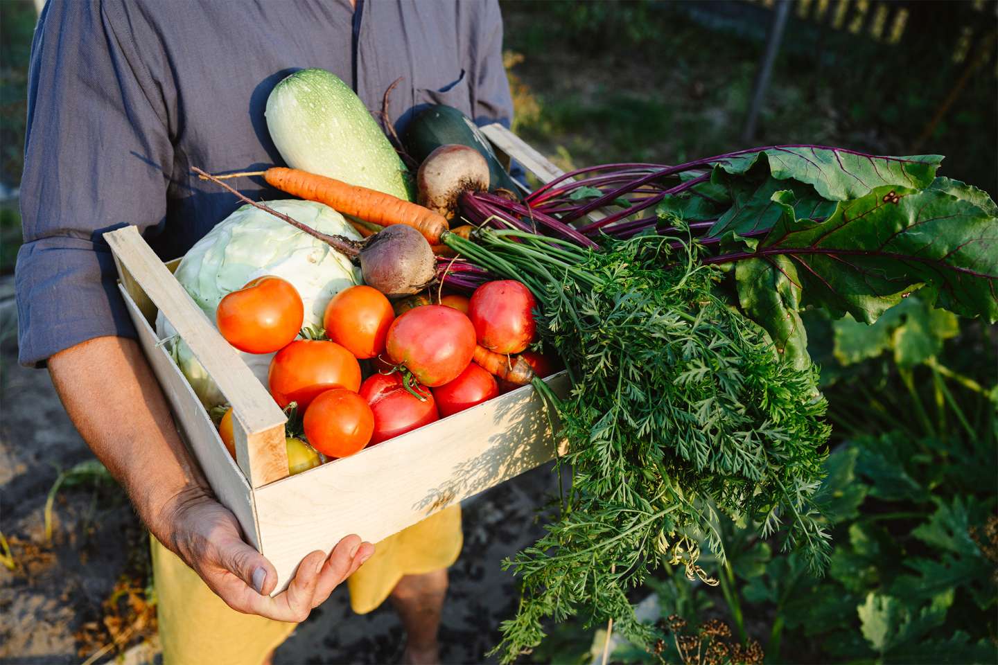 Exercice d’une activité commerciale accessoire par une société agricole : du nouveau !