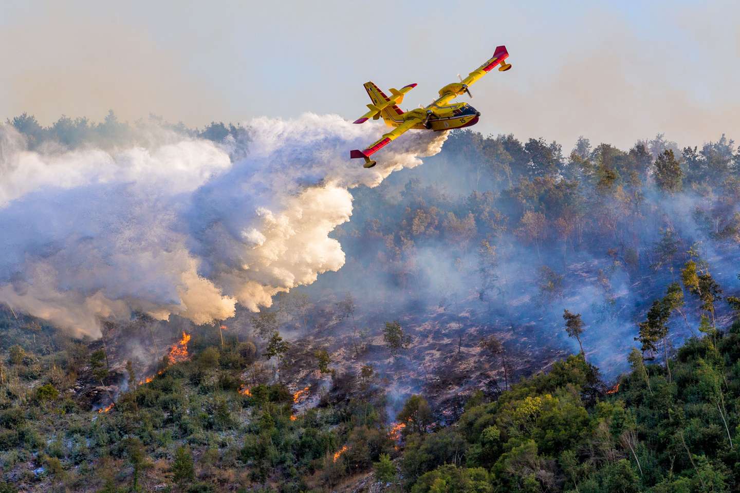 Un soutien de l’Urssaf pour les entreprises victimes des récents incendies ou intempéries
