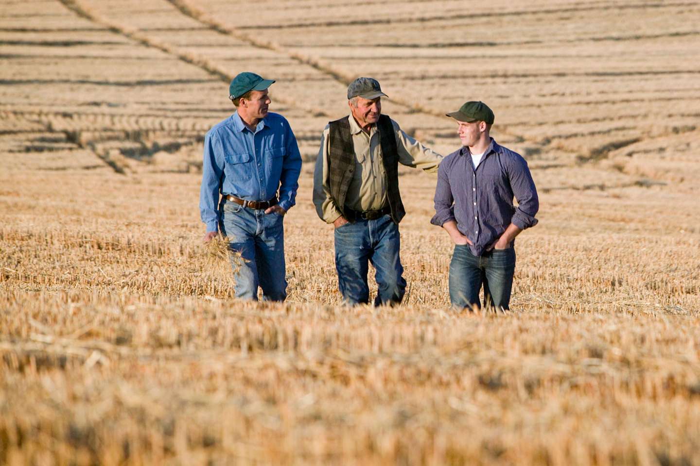 Reprise de terres agricoles données à bail par une société familiale