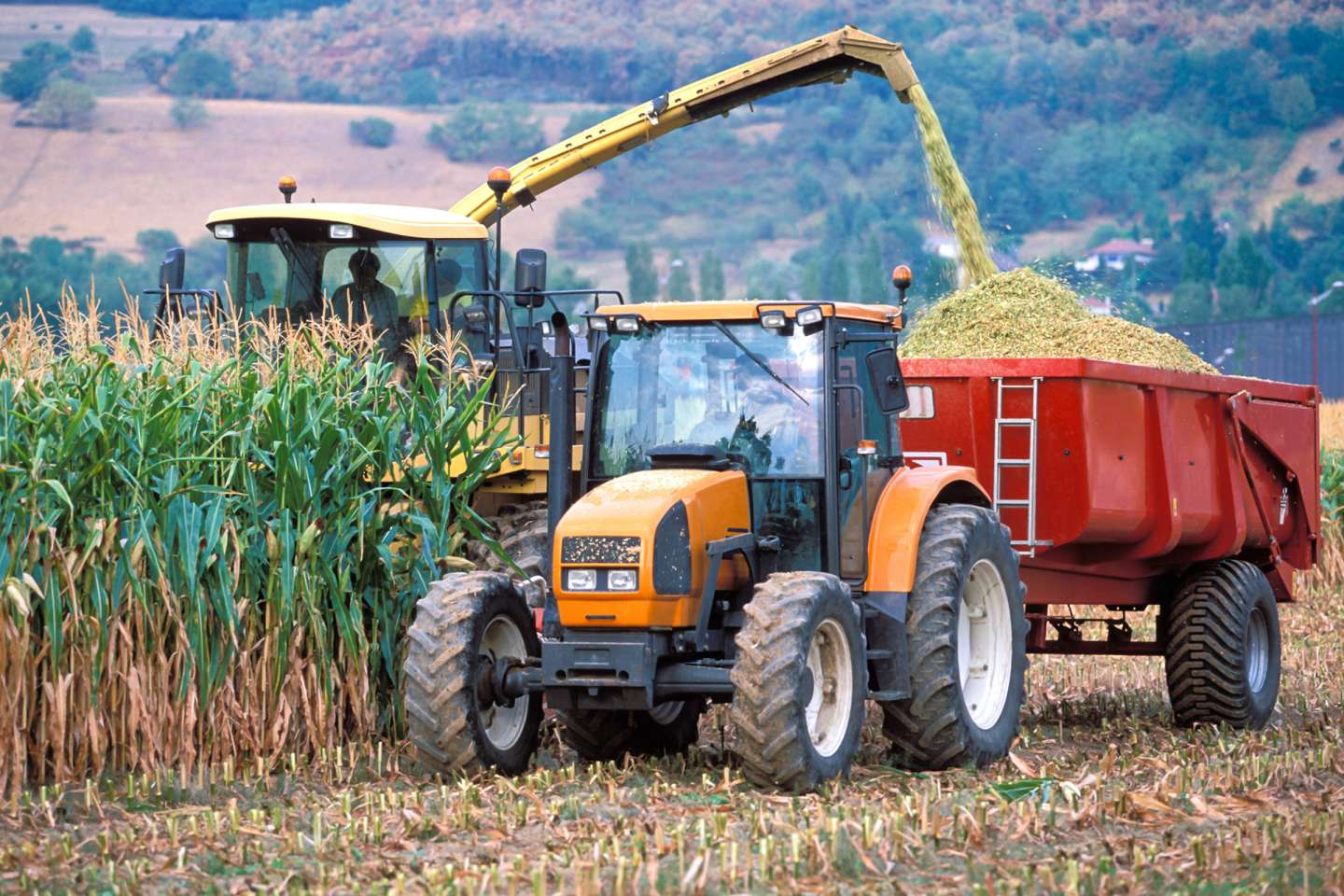 Des mesures fiscales de soutien au secteur agricole dans le budget 2026