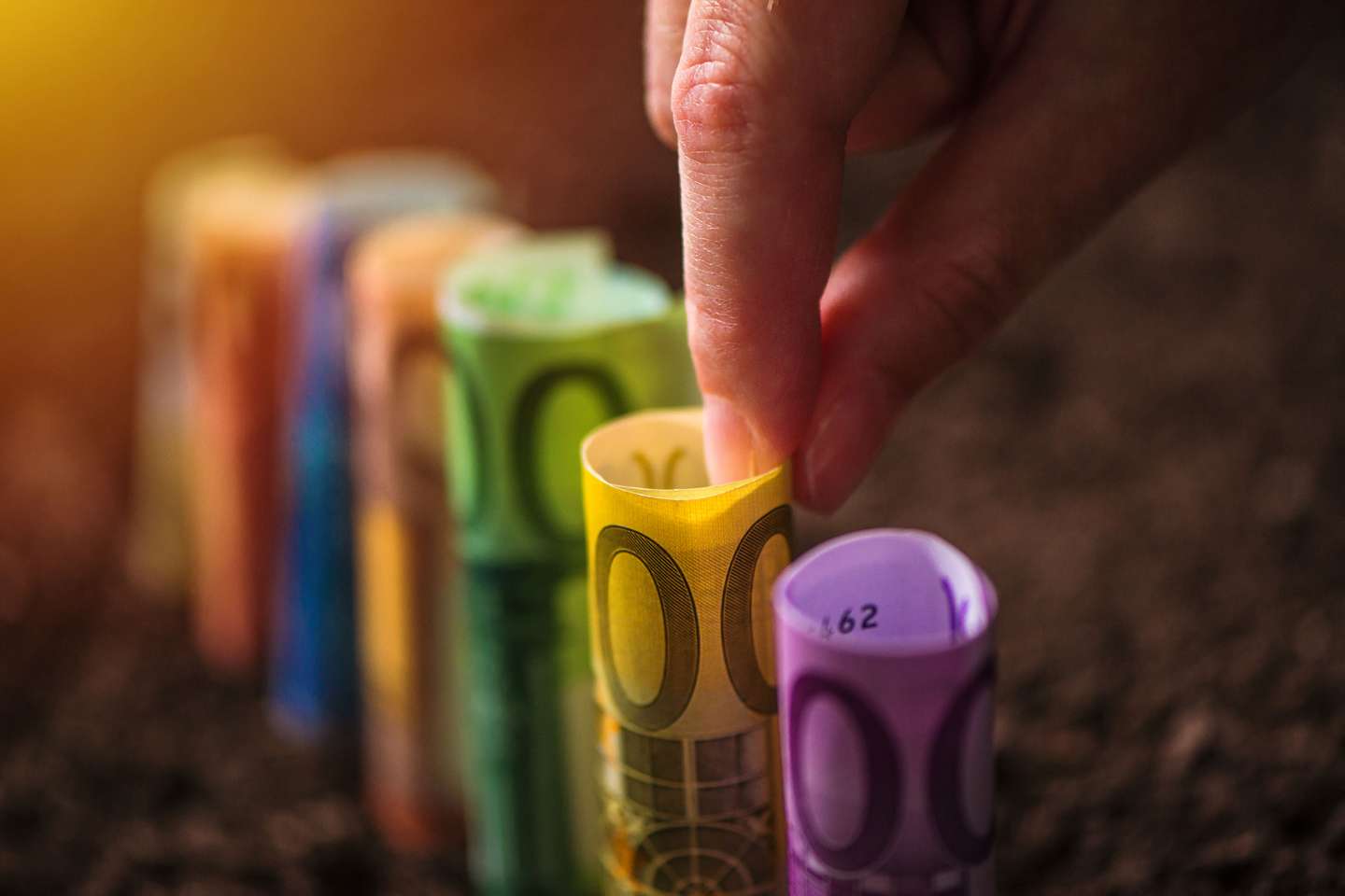 Exploitants agricoles : hausse du montant 2025 de plusieurs aides Pac