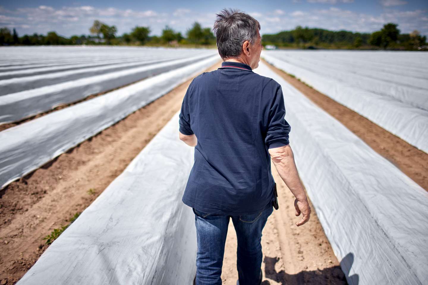 Non-salariés agricoles : vers une meilleure pension de retraite de base ?