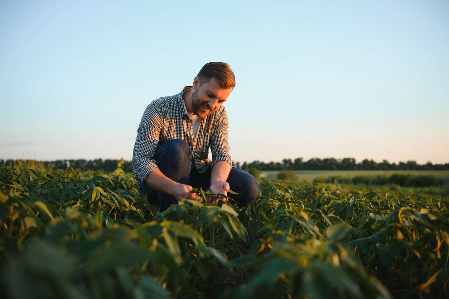 Exploitants agricoles : renforcement de la déduction pour épargne de précaution