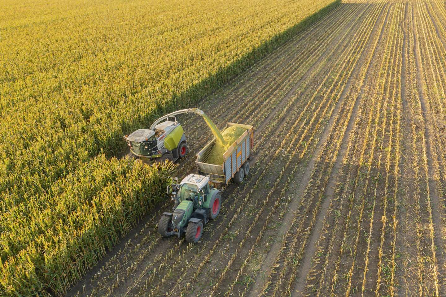 La production agricole en hausse de 4,7 % en 2025