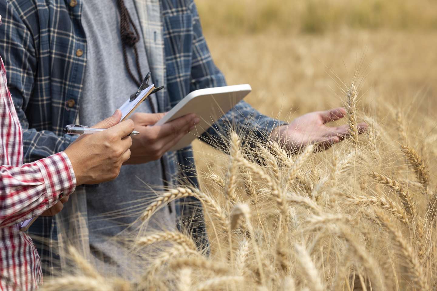 Non-salariés agricoles : des cotisations dues pour une année entière
