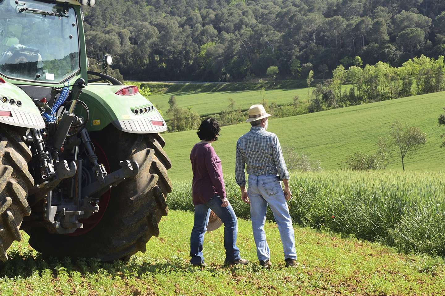 Exploitants agricoles : quel statut juridique pour votre conjoint ?