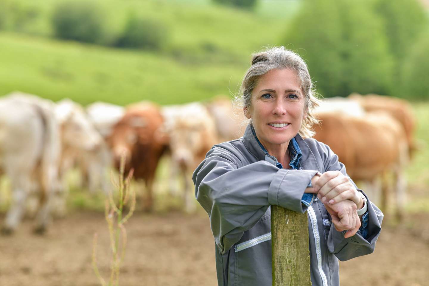 De nouvelles mesures de soutien en faveur des agriculteurs