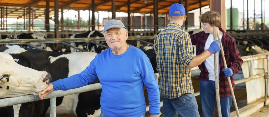 Décès d’un non-salarié agricole : capital décès pour ses ayants droit