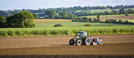 Les prix des terres agricoles à la hausse en 2025