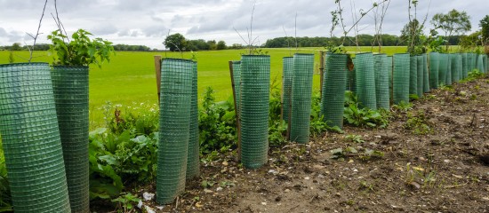 Exploitants agricoles : hausse du montant de plusieurs aides Pac au titre de 2025