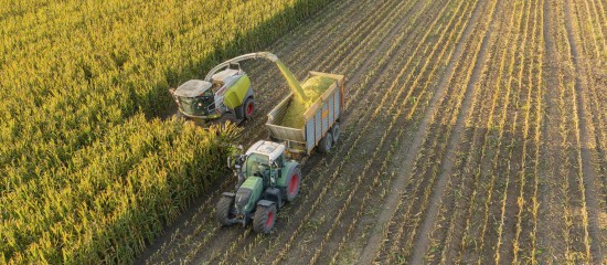 La production agricole en hausse de 4,7 % en 2025