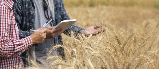 Non-salariés agricoles : des cotisations dues pour une année entière