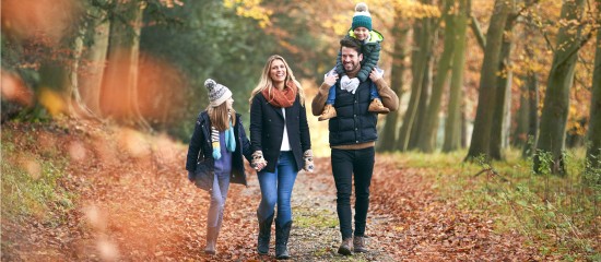 Jours fériés du mois de novembre : comment procéder ?